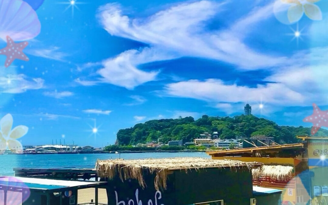 8月12日(火)